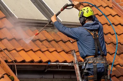 Démoussage et hydrofuge de toiture à Nantua